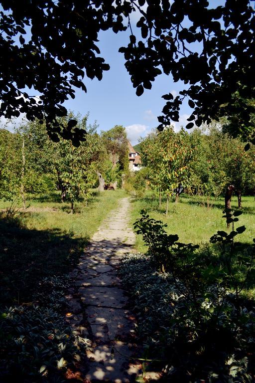 Villa Castelul Maria Banpotoc Dış mekan fotoğraf