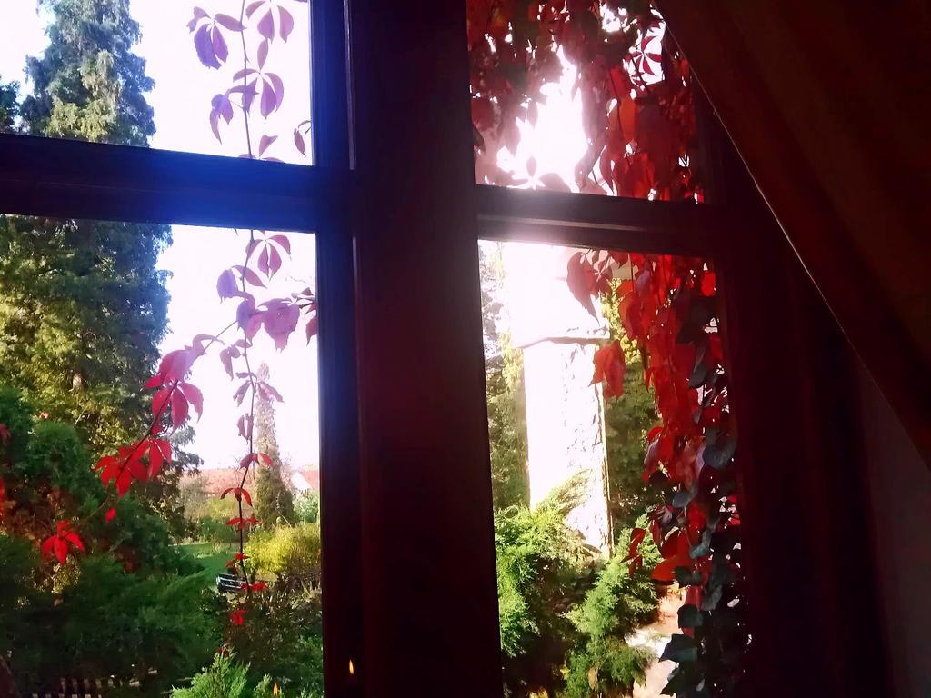 Villa Castelul Maria Banpotoc Dış mekan fotoğraf