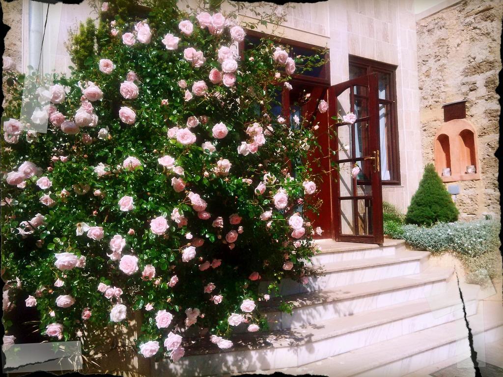 Villa Castelul Maria Banpotoc Dış mekan fotoğraf