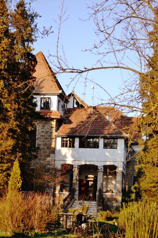 Villa Castelul Maria Banpotoc Dış mekan fotoğraf