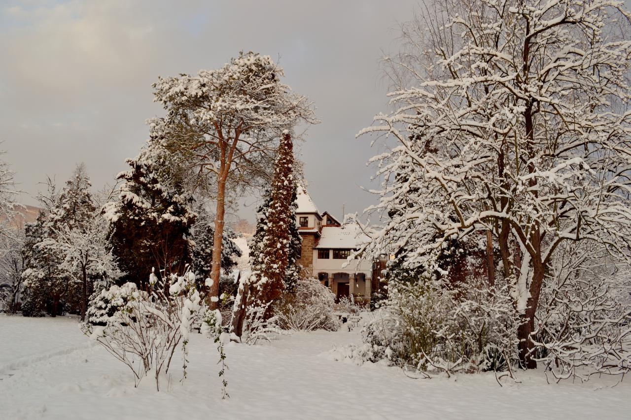 Villa Castelul Maria Banpotoc Dış mekan fotoğraf